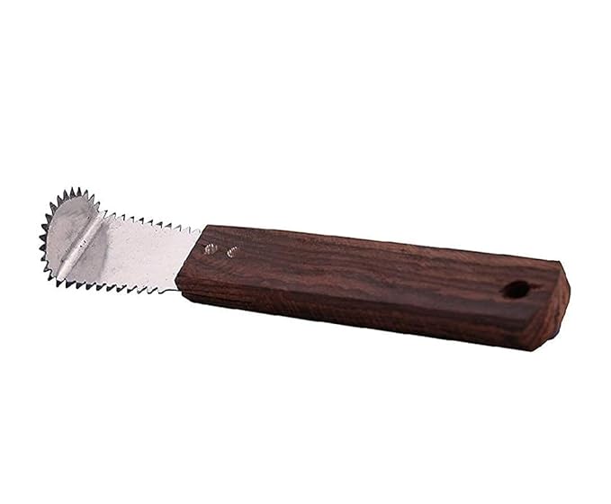 Stainless Steel Coconut Scraper