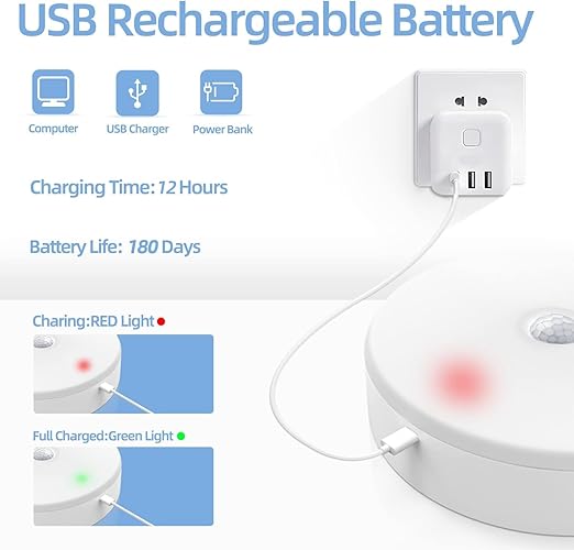 BODY INDUCTION LAMP