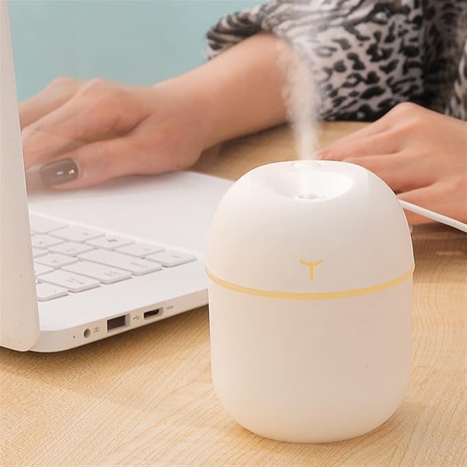 MINI HUMIDIFIER