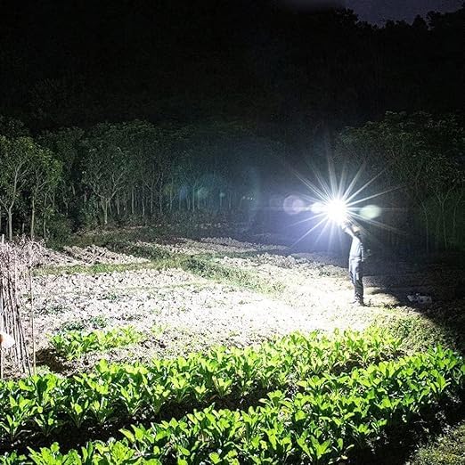 LED 3W TORCH