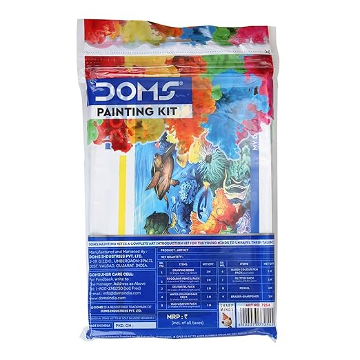 DOMS PAINTING KIT