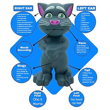 TALKING TOM B