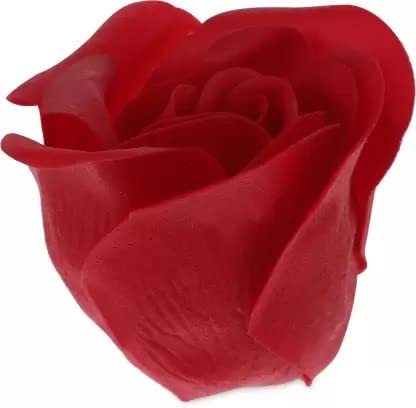 HEART TEDDY BOX