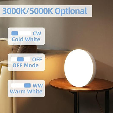 BODY INDUCTION LAMP