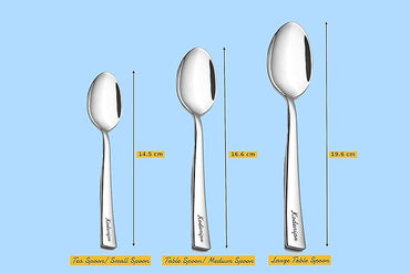 SPOON 6 PCS SET SHREEJI