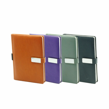 DAIRY MAGNET LOCK